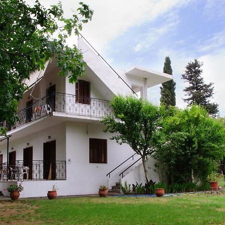 Drivas Apartments Platanias  Extérieur photo