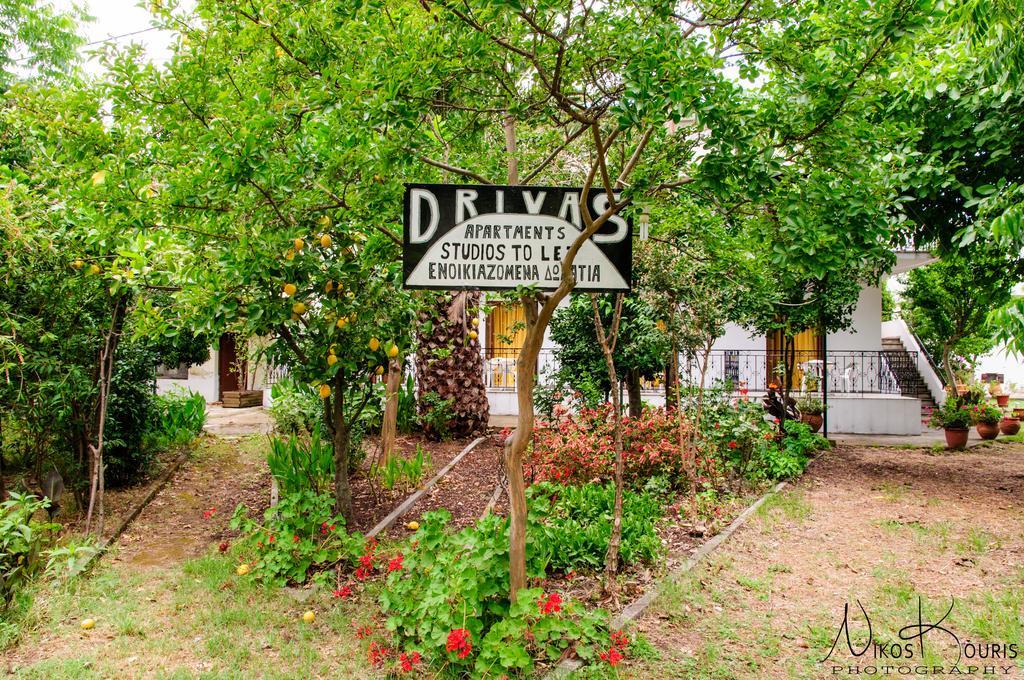 Drivas Apartments Platanias  Extérieur photo