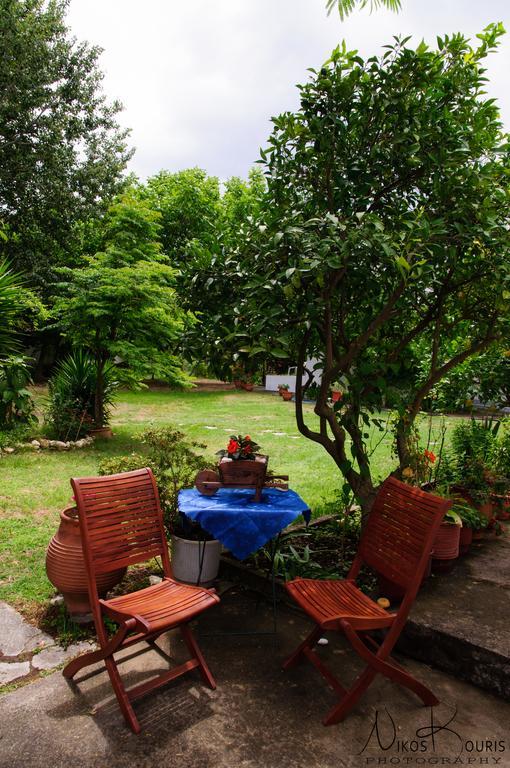 Drivas Apartments Platanias  Extérieur photo